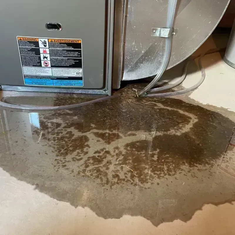 Appliance Leak Cleanup in Bridgeport, MI